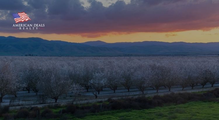 Why is My Home Not Selling in Peak Summer Season? (Modesto Market Insights) 